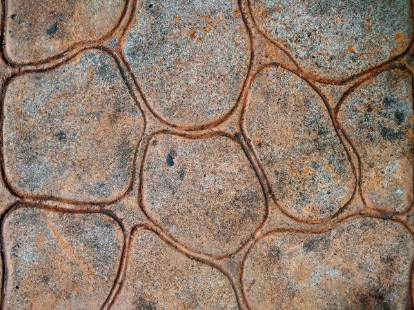 Stained Concrete Service in Concord