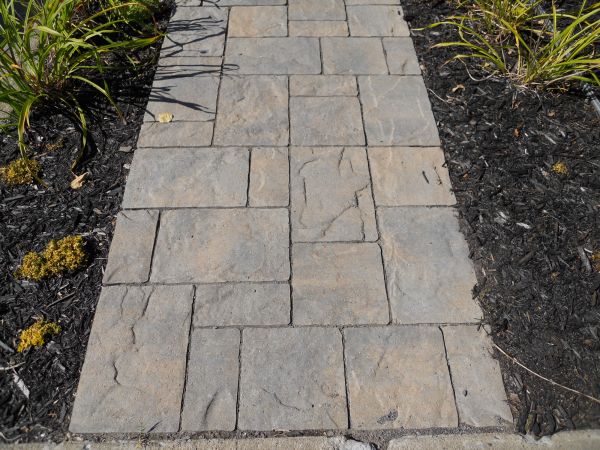 Stamped Concrete Staining in Concord